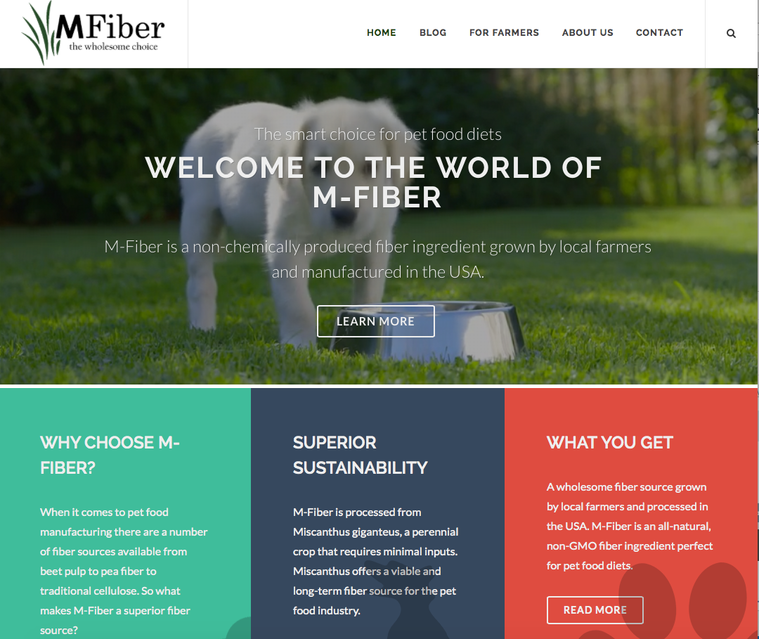 MFiber project screenshot
